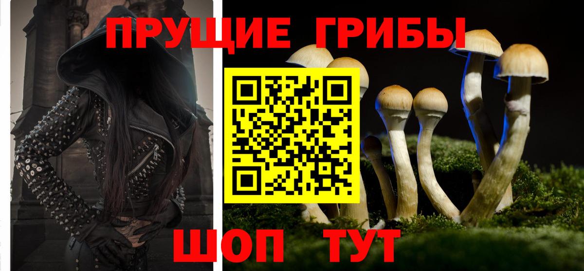 Псилоцибиновые грибы Psilocybine cubensis  Вход с VPN  продажа наркотиков  Мегион 